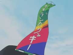 南海奇皇