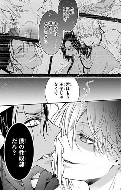 絶頂島の姫