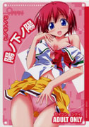 書影